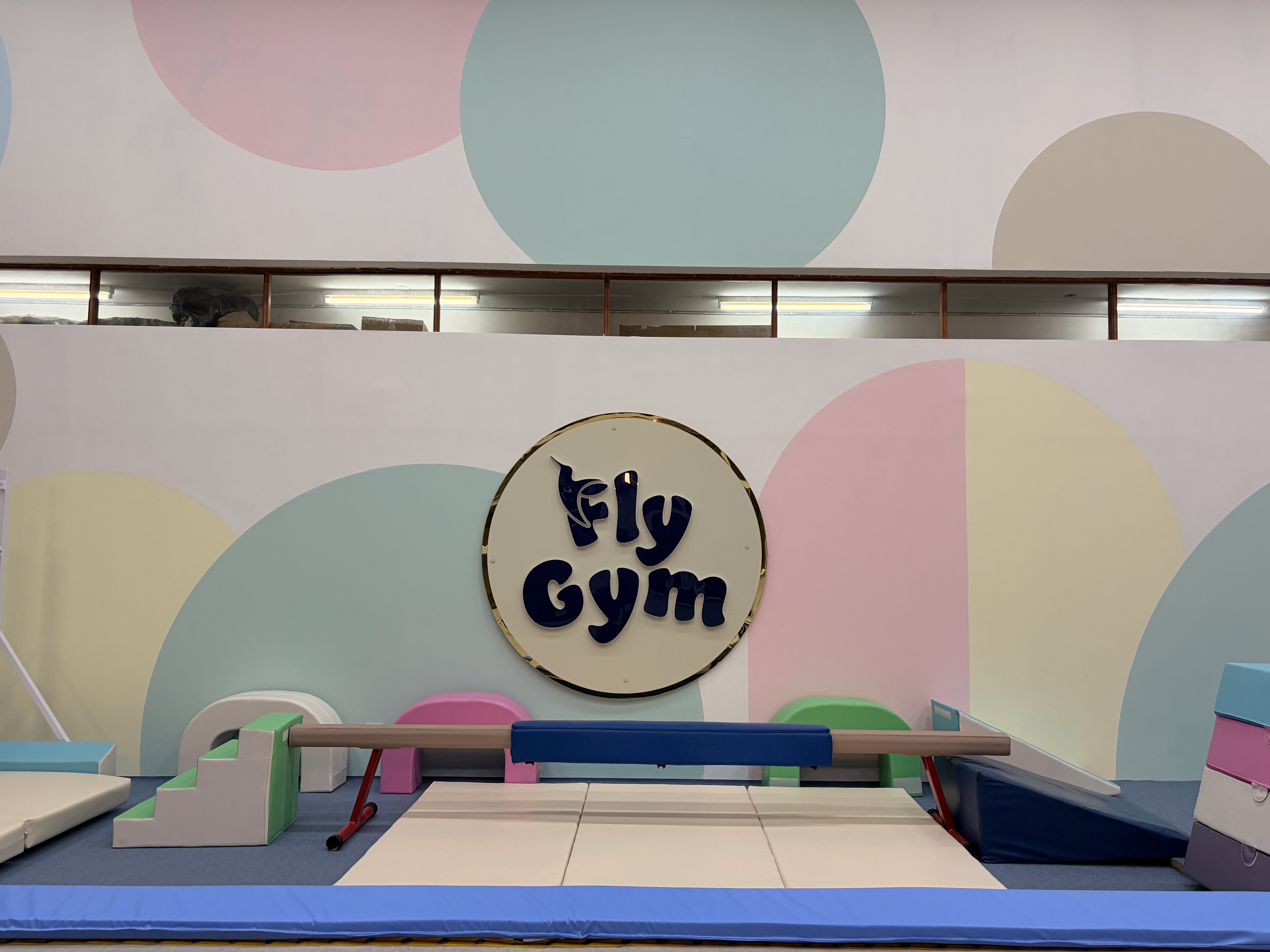 Equipos de entrenamiento de Fly Gym